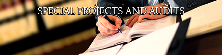 provizer_main_front_2015_440x110_special-projects.jpg